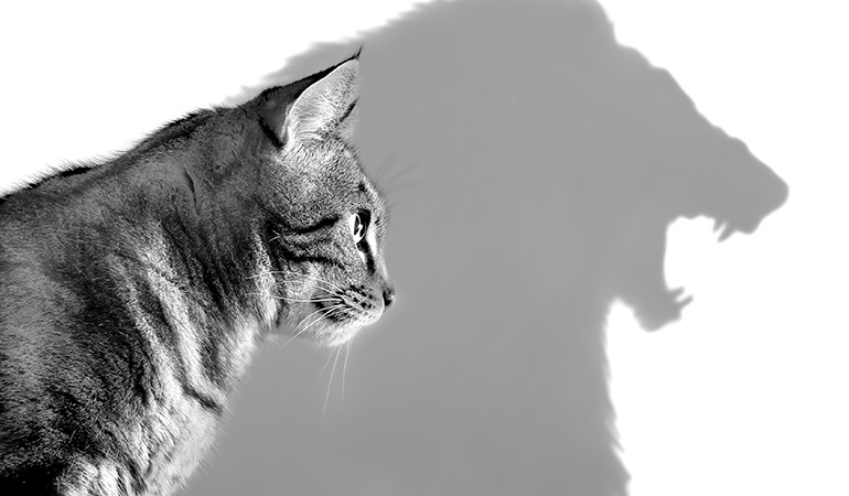 WARNING: Master manipulator at work! Here's how to defuse them.