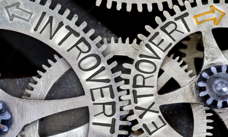 How to make the most of your coaching supervision sessions.