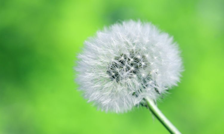 sharon-mccutcheon-645647-unsplash