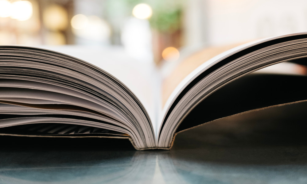 lp-blog-book-2