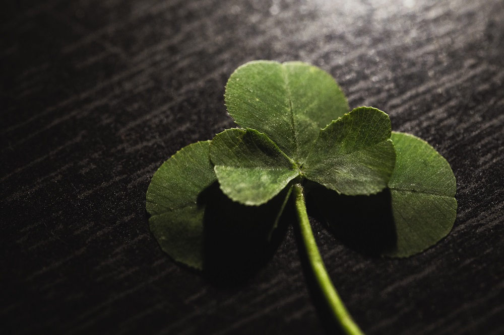 LP-blog-Maximising-Return-on-Luck