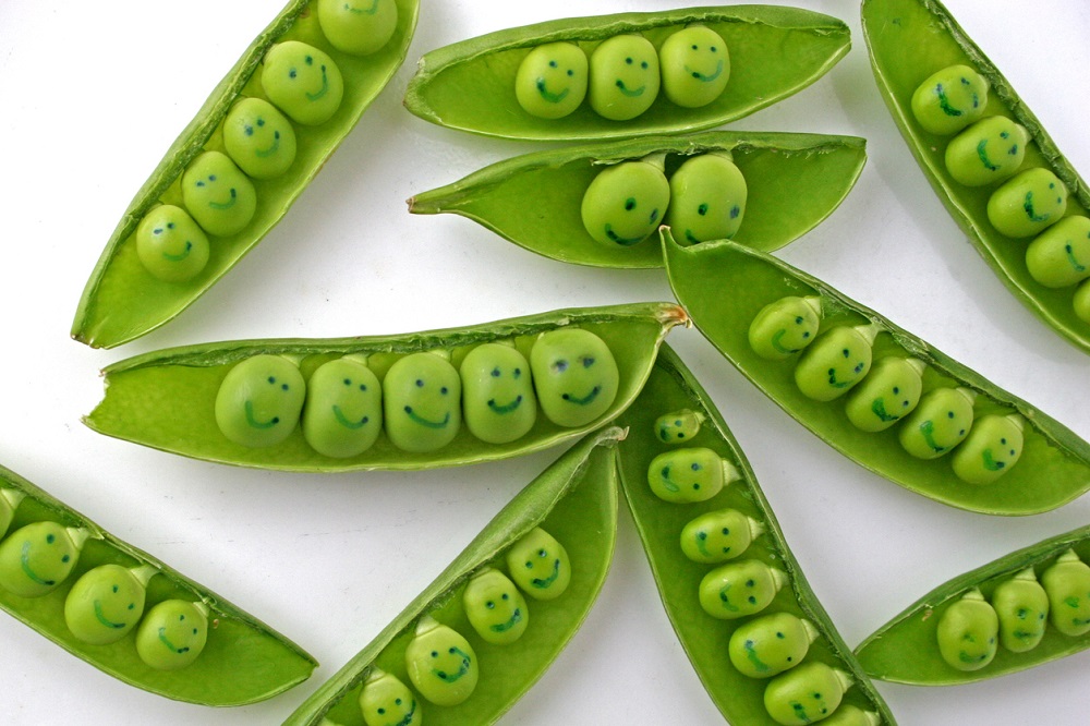 peas in pods